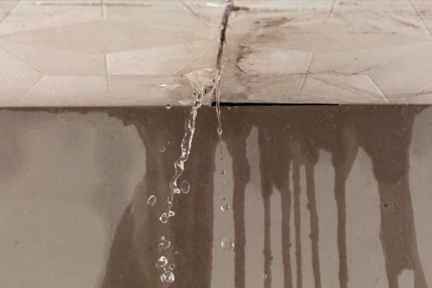 Professional Structural Drying technician working in Mark Center, OH